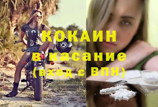 трава Богородицк