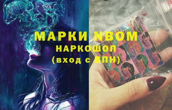 стаф Бородино