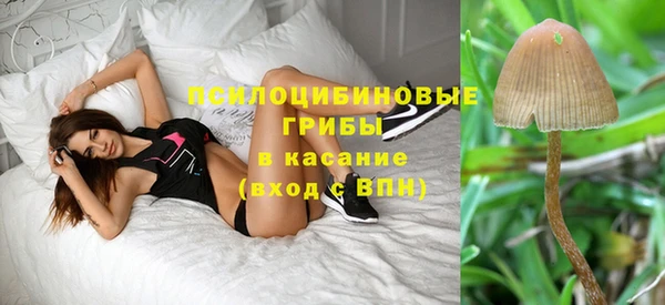 кокаин колумбия Богданович