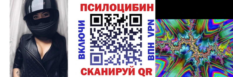 Псилоцибиновые грибы GOLDEN TEACHER  Купить закладки  Вилючинск 